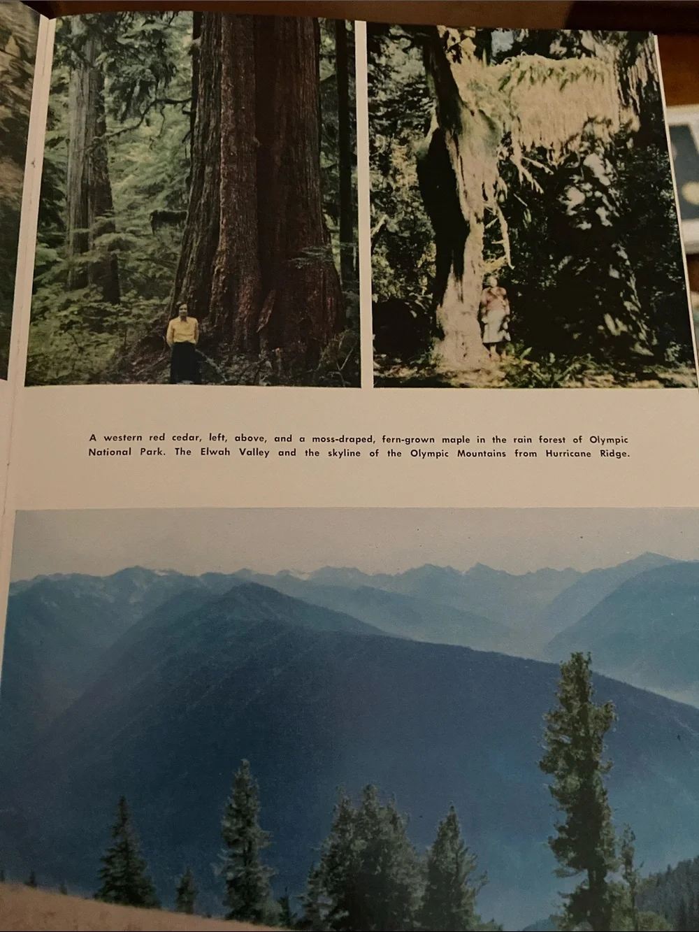 Vintage 1960s 60s USA U.S. American National Park & Monuments book Parks America